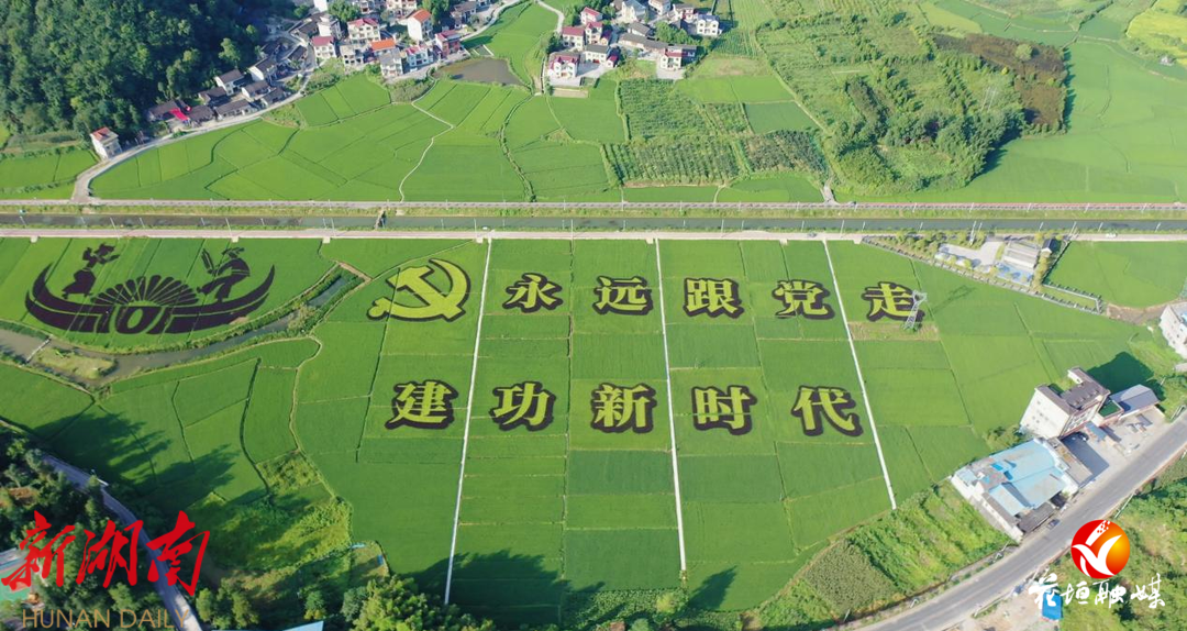 水浸坪乡最新发展规划,水浸坪乡最新发展规划